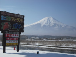 晴れた日には富士山がくっきり見える