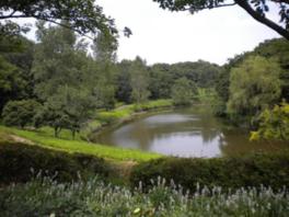 樹木で囲まれた青葉ヶ池では水辺の鳥や植物を身近に観察できる