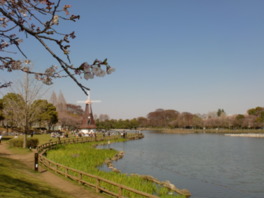 池畔には公園のシンボルとして風車が建てられている