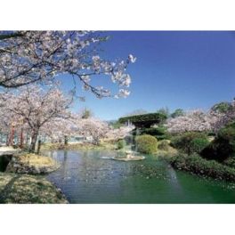 春には3000本の桜が咲き誇り、名庭園を華やかに彩る