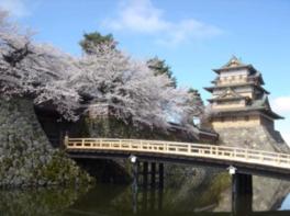 春には高島城を桜が彩る