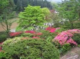ツツジ、桜、カエデなど自然あふれる憩いのスポット