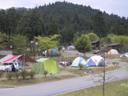 緑に囲まれた自然豊かなキャンプサイト