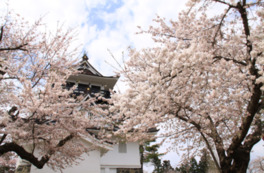天守閣様式の展望台と満開の桜が日本らしさを醸し出す