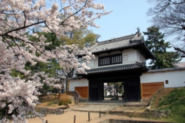 公園の象徴となっている土浦城址の櫓門
