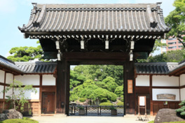 飛石や石橋を配置した池泉回遊式の日本庭園