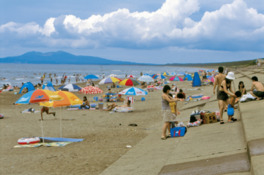 遠浅で泳ぎやすい浜は夏に多くの人で賑わう