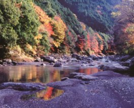 川面に紅葉が映し出される様は美しい
