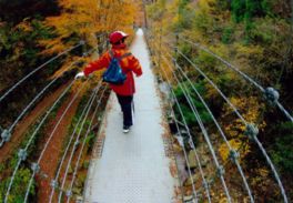 歩道が整備されており滝が眺望できる場所まで安全に行ける