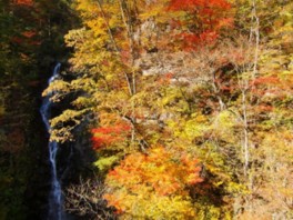 秋には美しい紅葉に彩られた三頭大滝が楽しめる