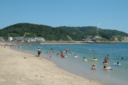 透き通るような海の青さが美しい海岸