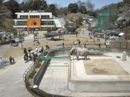 園内にある動物園では象が飼育されている