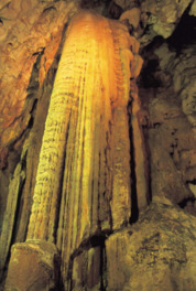 岩天井から流れ出た地下水が長い年月をかけ築き上げた秋芳洞のシンボル「黄金柱」