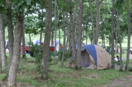 牧草地が見渡せるキャンプ場