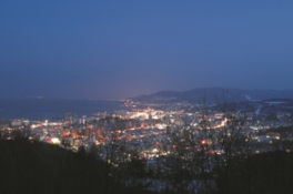 町のすぐ近くにある展望台から小樽市の夜景を見渡す
