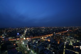 阪神高速堺線と堺の街の夜景を眼下に見下ろす