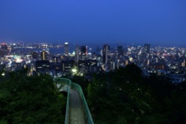 諏訪山の緑の向こうに広がる神戸市街の夜景