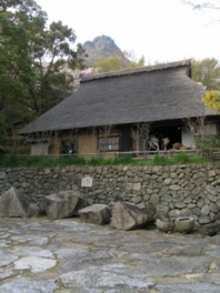 愛媛県山間部から移築した茅葺寄棟造の旧河野家住宅