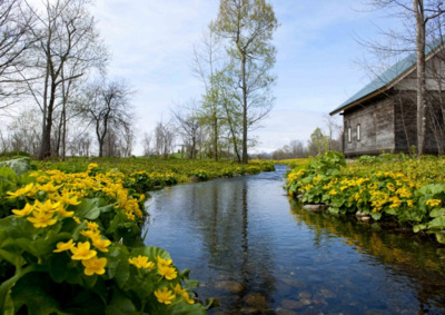 六花の森 坂本直行記念館 北海道 の情報 ウォーカープラス