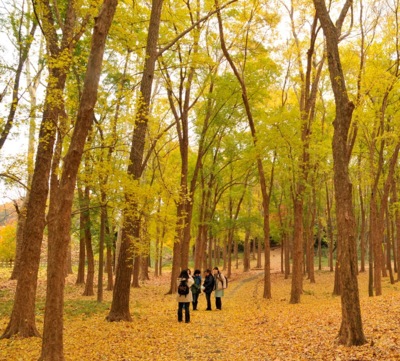 狭山公園 東京都 の情報 ウォーカープラス