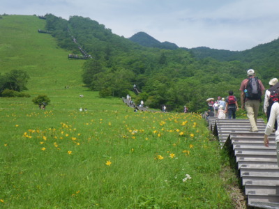 日光市霧降高原 キスゲ平園地 栃木県 の情報 ウォーカープラス