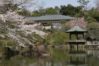 成田山公園 千葉県 の情報 ウォーカープラス