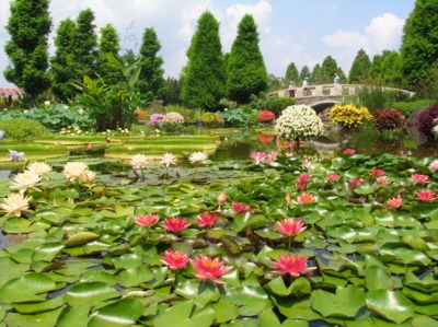 草津市立水生植物公園みずの森 滋賀県 の情報 ウォーカープラス