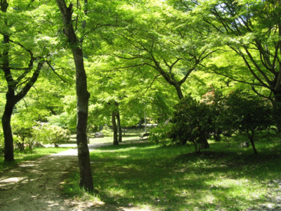 嵐山公園 亀山地区 京都府 の情報 ウォーカープラス