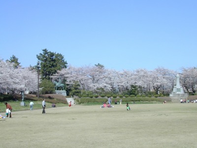春には桜も楽しめる本丸広場