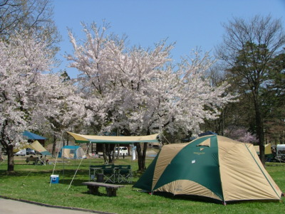 雁の里ふれあいの森キャンプ場 秋田県 の情報 ウォーカープラス