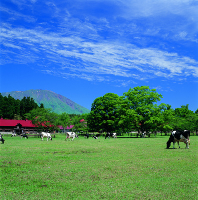 小岩井農場まきば園 岩手県 の情報 ウォーカープラス