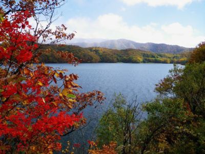 裏磐梯高原 桧原湖付近 の紅葉 福島県 の情報 ウォーカープラス