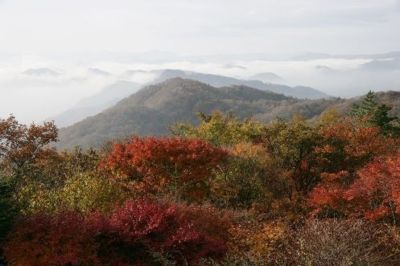 F10号です。碓氷峠で発見した、紅葉。特注額です。 F10号です。碓氷峠で発見した、紅葉。特注額です。 F10号です。碓氷