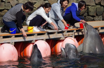 太地町立くじら浜公園(和歌山県)の情報｜ウォーカープラス