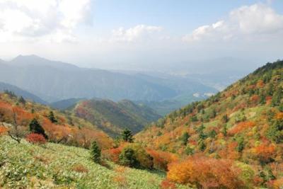 紅葉 見ごろ 富士見台高原ヘブンスそのはら 長野県 の情報 ウォーカープラス