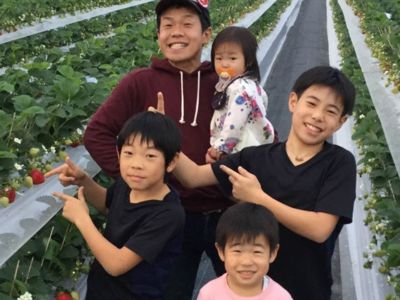 安心、安全で美味しいいちご