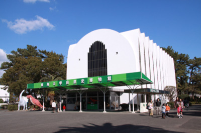 東海大学自然史博物館 静岡県 の情報 ウォーカープラス