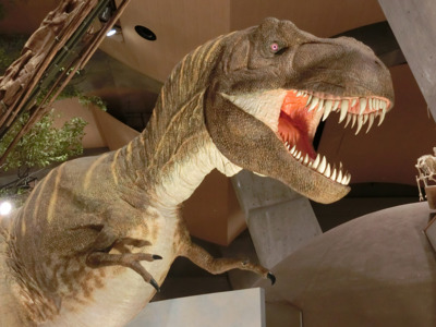 迫力のあるティラノサウルスの模型