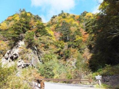 紅葉 見ごろ 白鳳渓谷 山梨県 の情報 ウォーカープラス