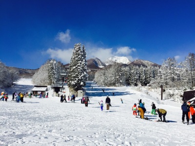妙高高原 池の平温泉スキー場 新潟県 の情報 ウォーカープラス