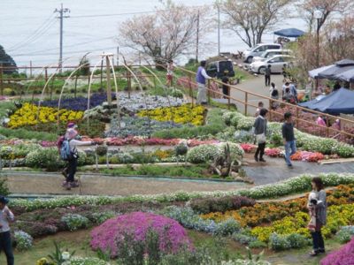 第8回夢追い長島花フェスタ 鹿児島県 の情報 ウォーカープラス