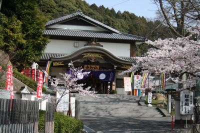 由加山蓮台寺の桜 岡山県 の情報 ウォーカープラス