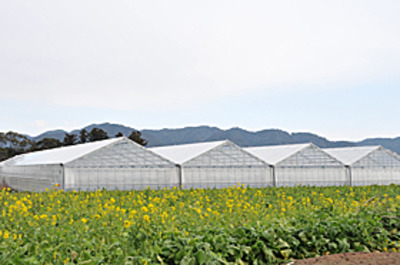 たむら農園 千葉県 の情報 ウォーカープラス