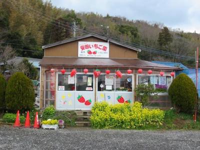 安田いちご園 千葉県 の情報 ウォーカープラス