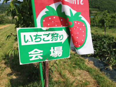 ニトリ観光果樹園 旧山本観光果樹園 北海道 の情報 ウォーカープラス