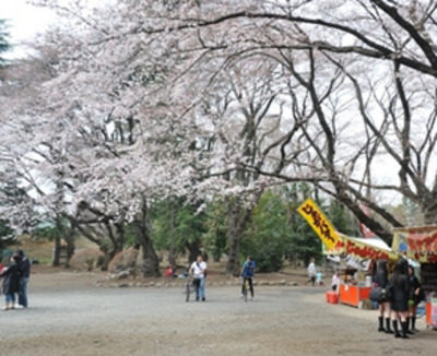 桜の名所として市民に親しまれる