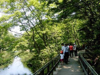 大阪府民の森 緑の文化園 むろいけ園地 大阪府 の情報 ウォーカープラス