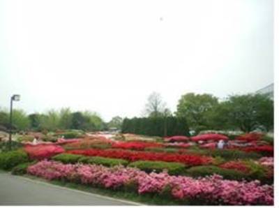 久留米百年公園 福岡県 の情報 ウォーカープラス