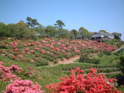 田原坂公園 熊本県 の情報 ウォーカープラス