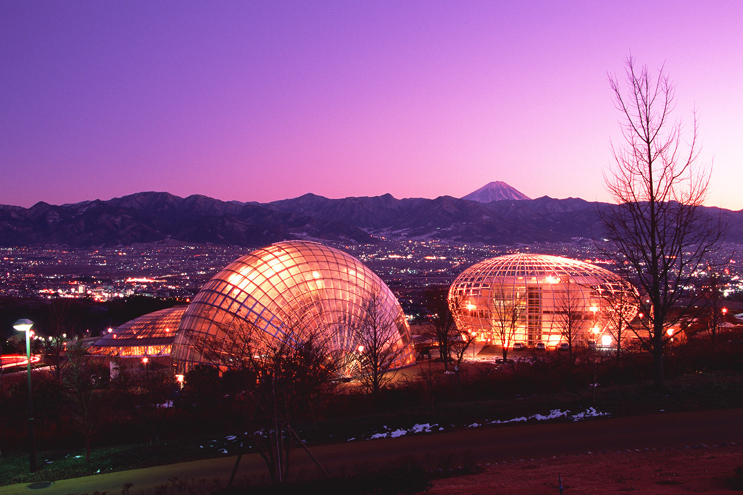 山梨県笛吹川フルーツ公園 夜景時間 Yakei Hours ウォーカープラス